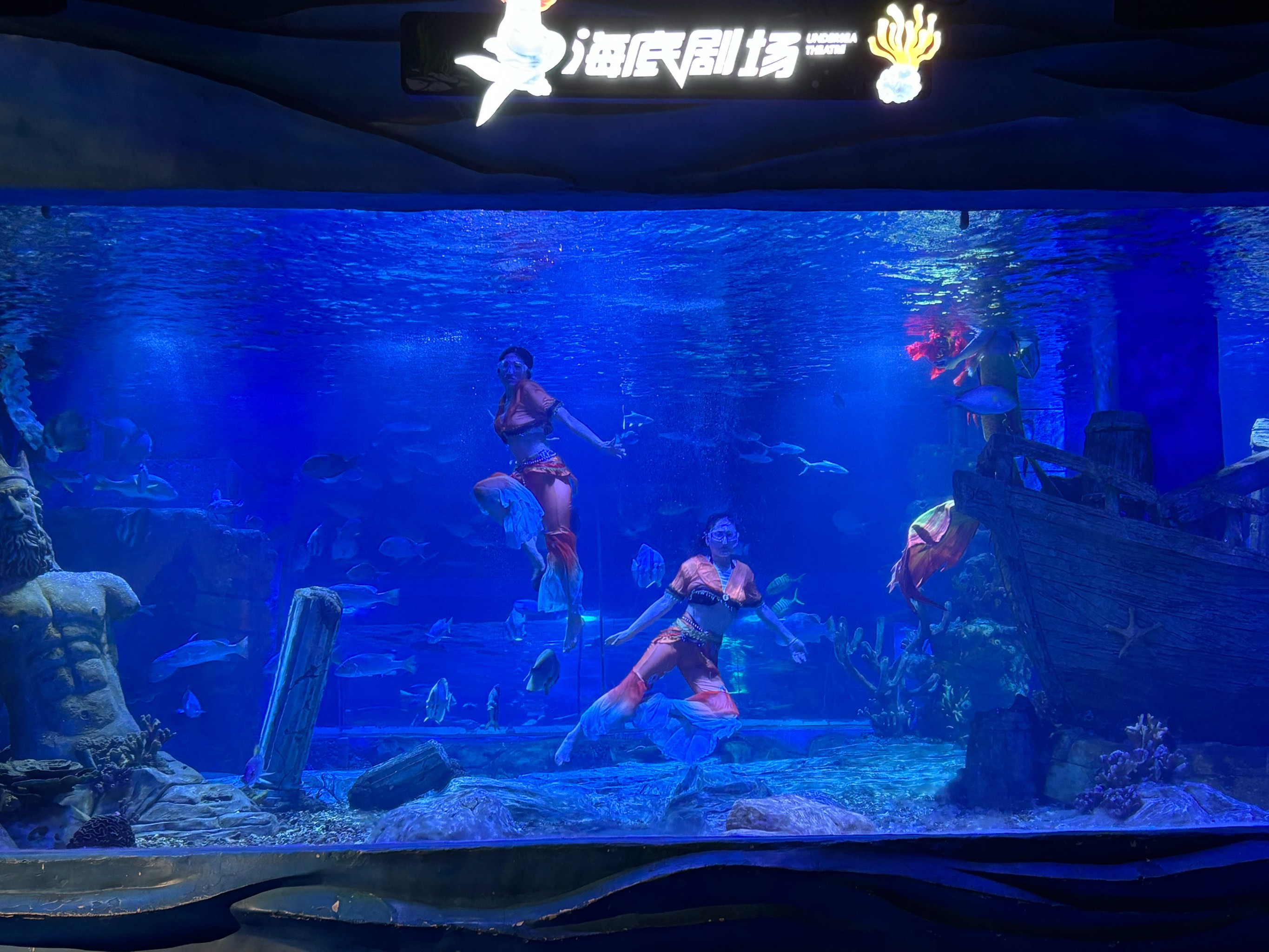 关于特色海域潜水乐园,探索海底奇观的神秘之门的信息 关于特色海域潜水乐园,探索海底奇观的神秘之门的信息