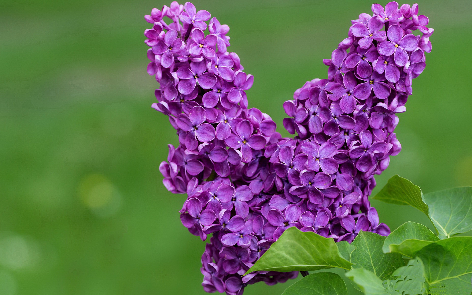 开云体育平台-瑞典队战术解析：如何利用变化创造制胜机会，瑞典队员