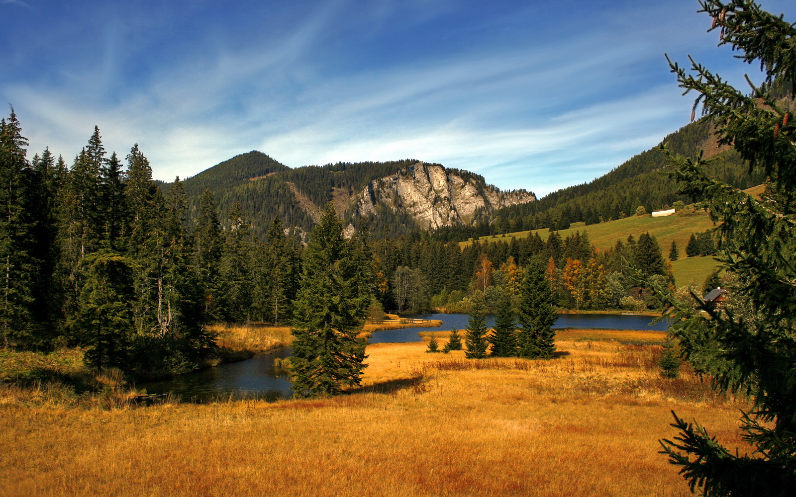 开云体育下载入口-尼尔·巴特尔的防守能力帮助袋鼠队多次守住胜果，巴特尔防守奥尼尔